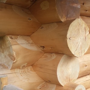 Mountain Edge Shropshire Log Cabins Lodges 5